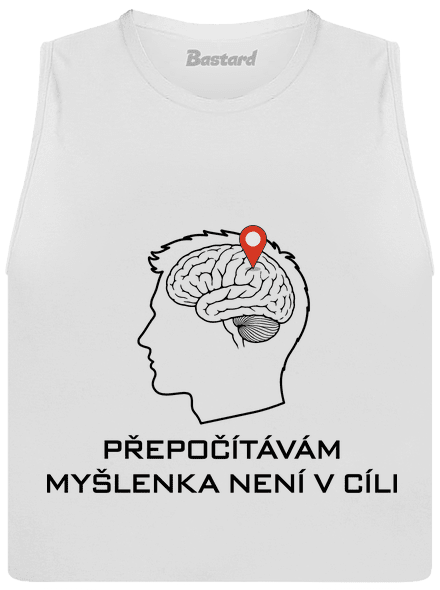 Přepočítávám