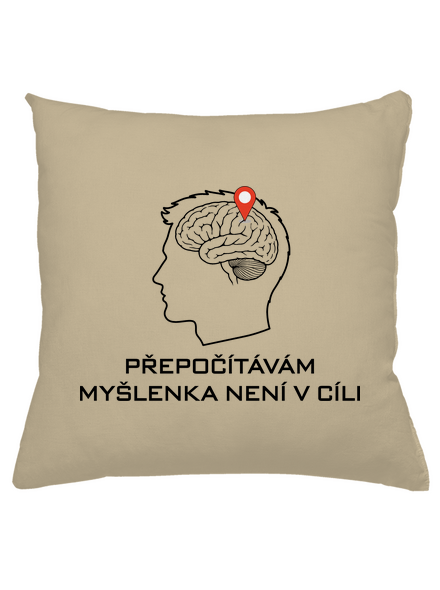 Přepočítávám