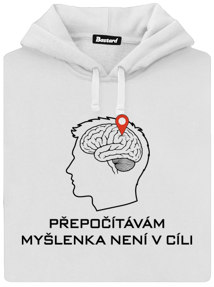 Přepočítávám
