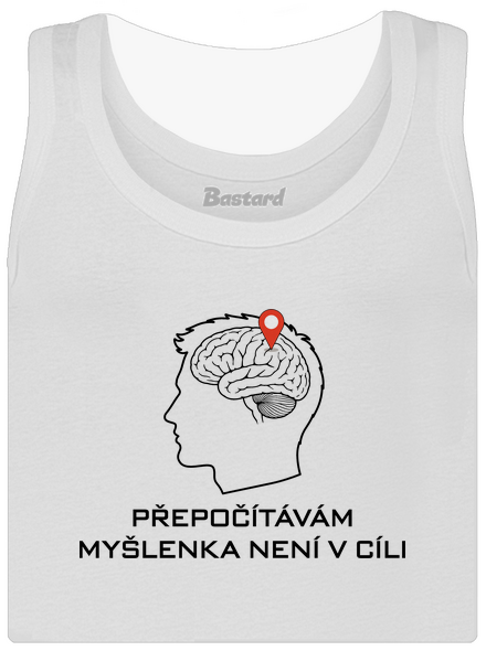 Přepočítávám