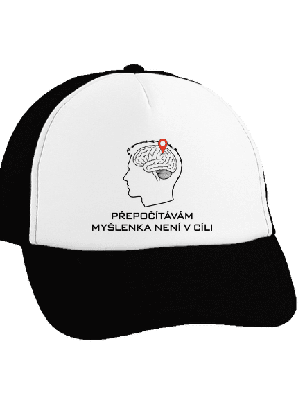 Přepočítávám