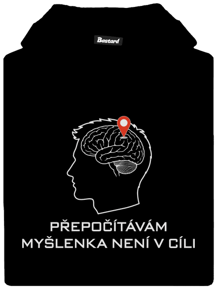 Přepočítávám