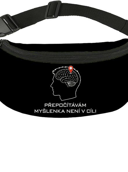 Přepočítávám