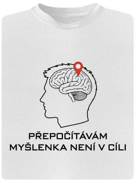 Přepočítávám