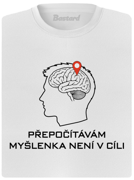 Přepočítávám