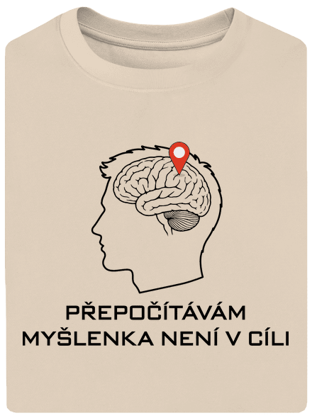 Přepočítávám