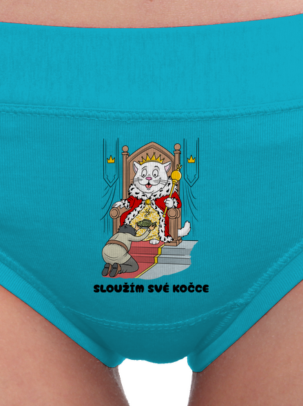Sloužím své kočce
