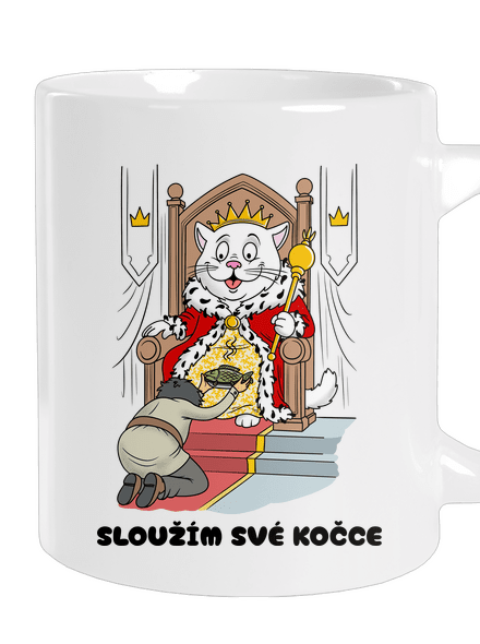 Sloužím své kočce