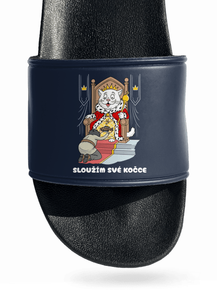 Sloužím své kočce