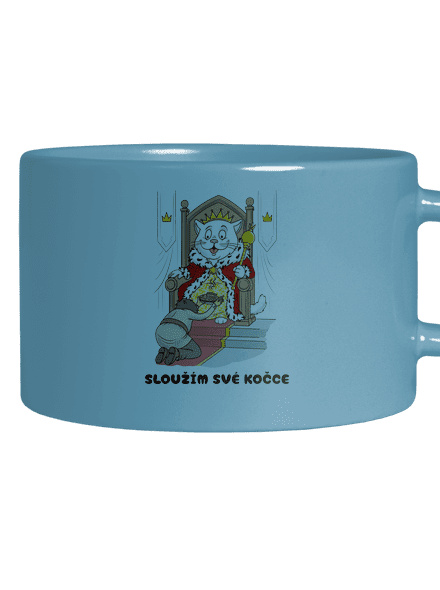 Sloužím své kočce