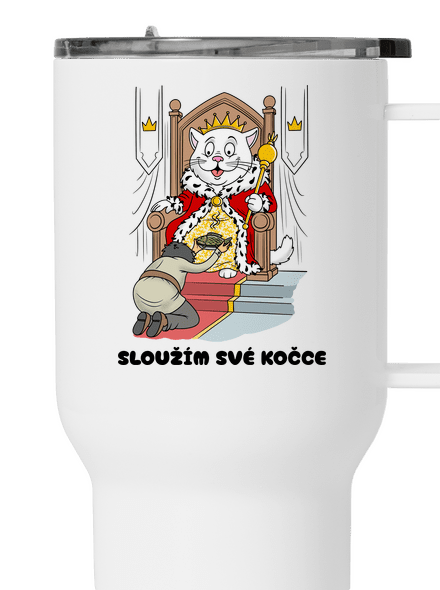 Sloužím své kočce