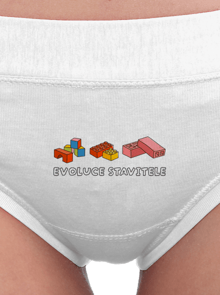 Evoluce stavitele