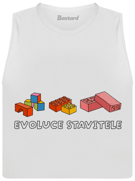 Evoluce stavitele