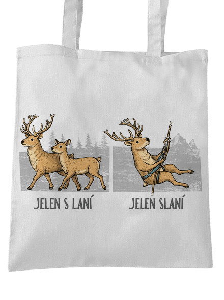 Jelen s laní