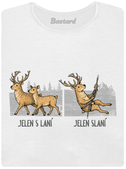 Jelen s laní