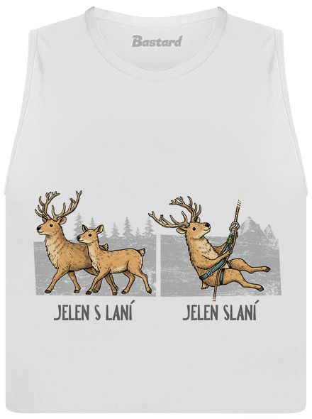 Jelen s laní
