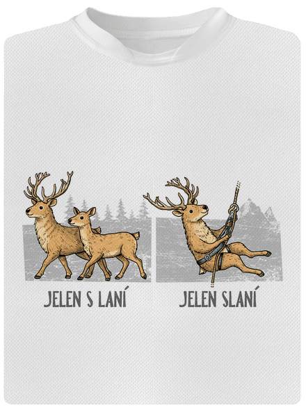 Jelen s laní