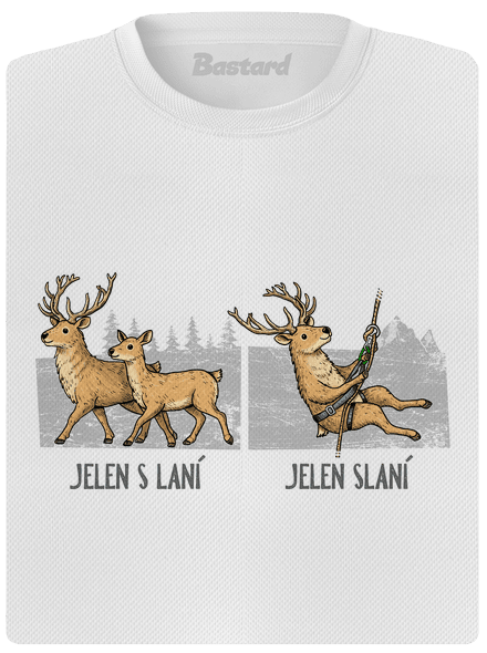 Jelen s laní
