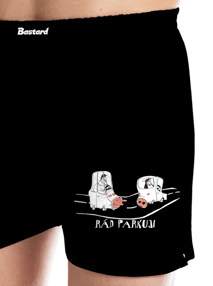 Rád parkuji