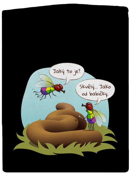 Mouchy na obědě