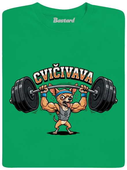 Cvičivava