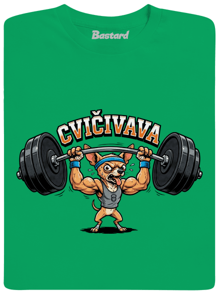Cvičivava