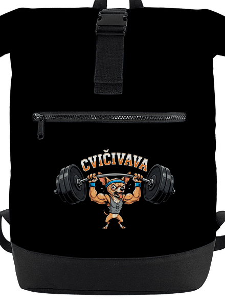 Cvičivava