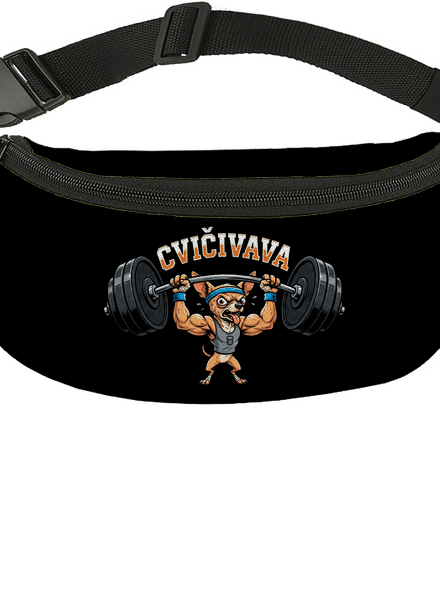 Cvičivava