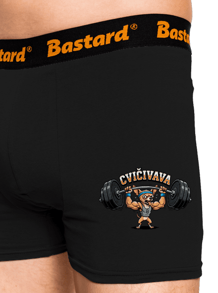 Cvičivava