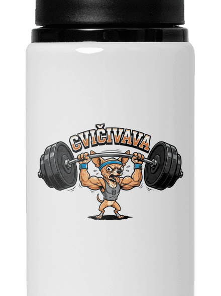 Cvičivava