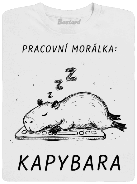 Pracovní morálka
