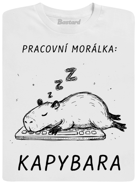 Pracovní morálka