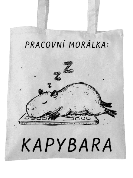 Pracovní morálka
