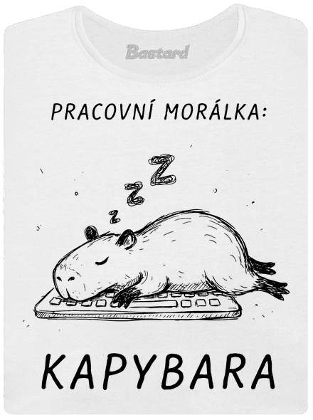 Pracovní morálka