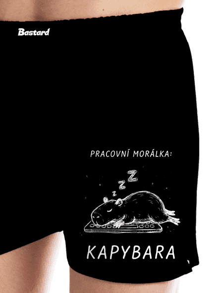 Pracovní morálka