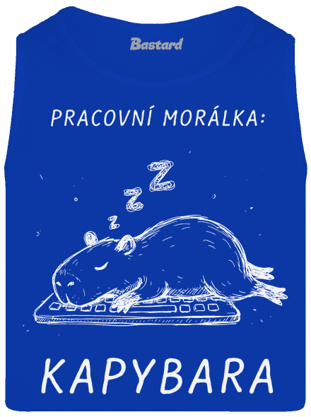 Pracovní morálka