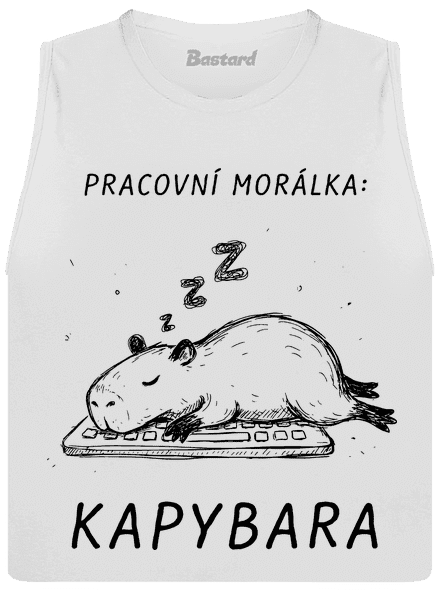 Pracovní morálka