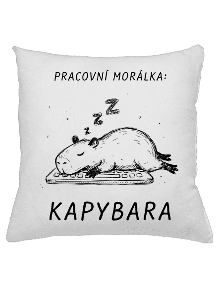Pracovní morálka
