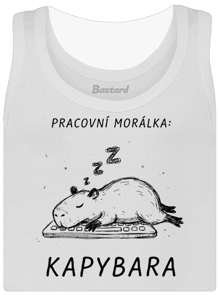 Pracovní morálka