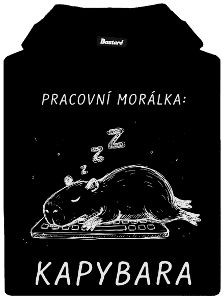 Pracovní morálka