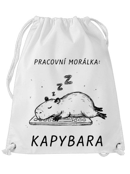 Pracovní morálka