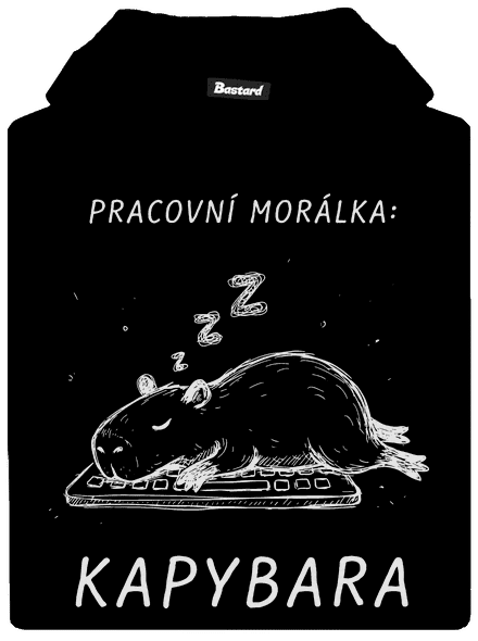 Pracovní morálka