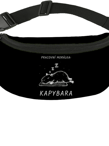 Pracovní morálka