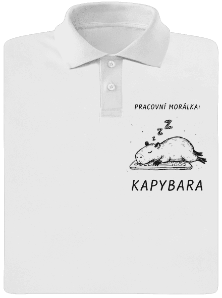 Pracovní morálka