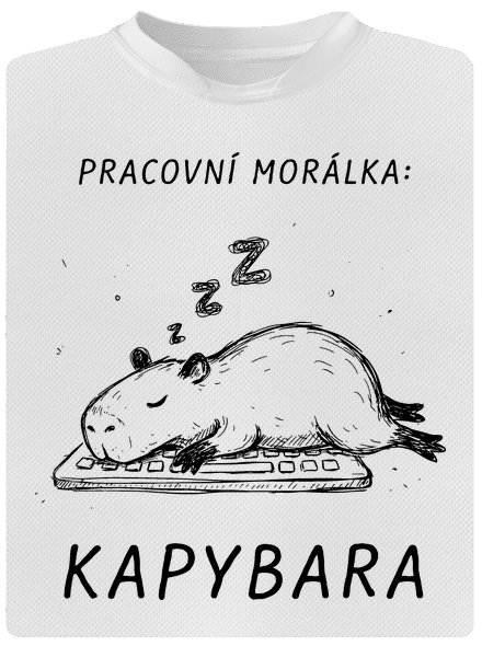Pracovní morálka