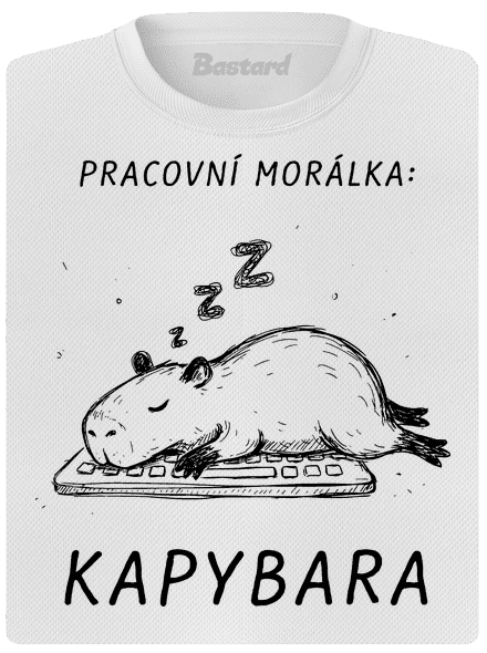 Pracovní morálka