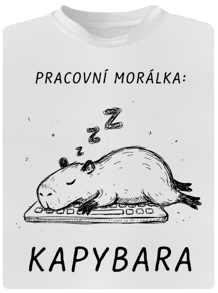 Pracovní morálka