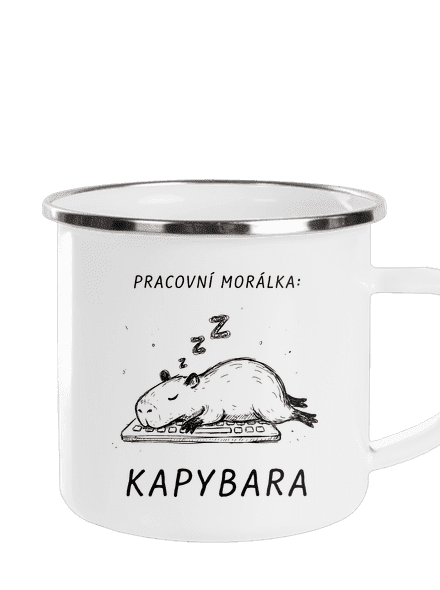Pracovní morálka