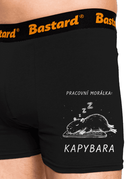 Pracovní morálka