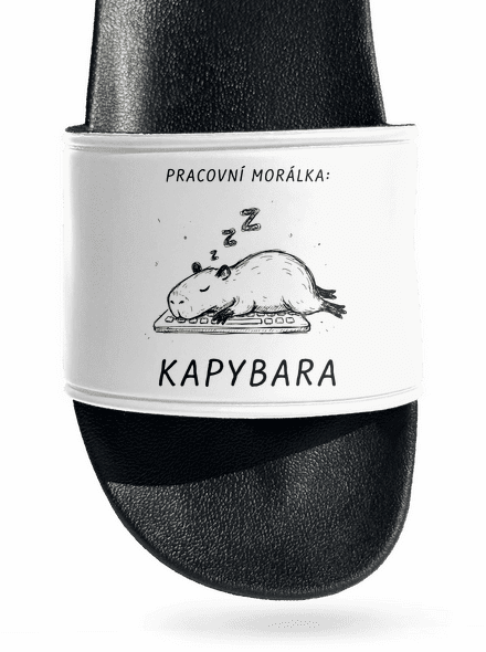 Pracovní morálka